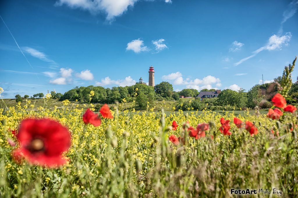 D75_4287_arkona_mohnblumen