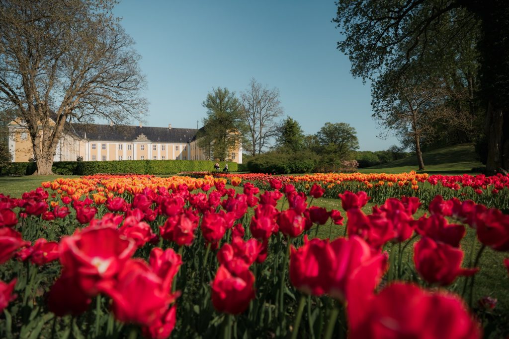 Nanna Kildemose Nielsen (22-05-2023): Husk at kreditere Mads Tolstrup ved brug af billedet., Nanna Kildemose Nielsen (04-04-2024): Foto må alene bruges i forbindelse med markedsføring af de fire kommuner Faxe, Næstved, Stevns og Vordingborg som rejsemål. Husk altid at kreditere fotografen og Visit Sydsjælland & Møn ved brug af foto. Brugsretten til billedmaterialet er betinget af at følgende vilkår tiltrædes: https://www.sydsjaellandmoen.dk/medier/rettigheder